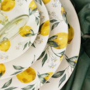 Rent The Limoncello China Collection From different Look